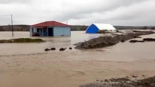 Çorlu Deresi taştı; tarım alanları sular altında kaldı (3)