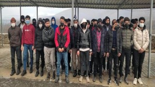Bulgaristan sınırında 114 kaçak göçmen yakalandı