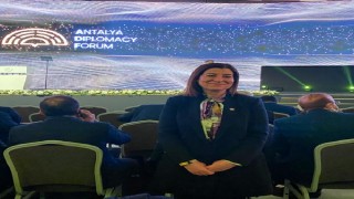 KEFEK Başkanı Aksal: Antalya Diplomasi Forumu bölgesel gücün yansıması