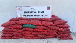 Yunanistan’a götürülmek istenen 750 kilo kum midyesi ele geçirildi