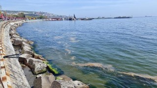 Prof. Dr. Tecer: Marmara Denizi’nde yeniden görülen müsilaj, dibe çökenler