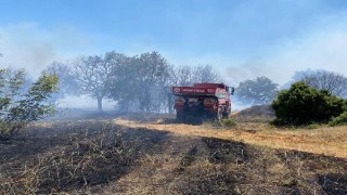 Keşan’da 2 hektar orman yandı