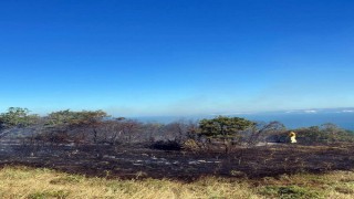 Piknik ateşiyle orman yangınına neden olan 3 kişi tutuklandı
