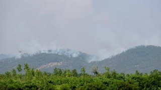 Yunanistan’daki orman yangını, Türkiye’den endişe ile izleniyor