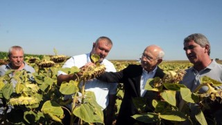 Kılıçdaroğlu: Ayçiçeği taban fiyatı ton başına 16 bin lira olmalı