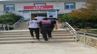 Edirne’de küçükbaş hayvan hırsızlığına 3 gözaltı