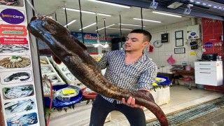 Barajda 1,5 metre boyunda 70 kilo ağırlığında yayın balığı yakaladı