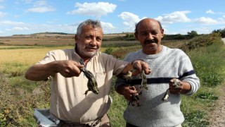Edirne’de ’kurbağa avcıları’ mesaiye başladı