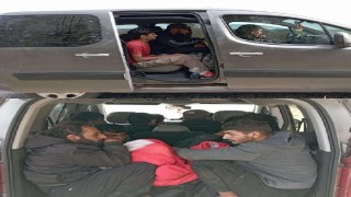 Kırklareli’de 439 göçmen ile 11 organizatör yakalandı