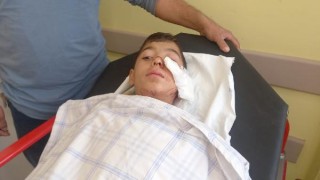 Edirne’de sokak köpeklerinin saldırdığı 12 yaşındaki Umut, ağır yaralandı (2)