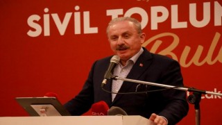 TBMM Başkanı Şentop: Türkiye’nin dostluğu kıymetlidir düşmanlığı da çok tehlikelidir (3)