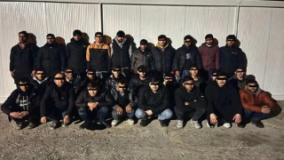 Kırklareli’nde 399 göçmen yakalandı, 1 organizatör tutuklandı