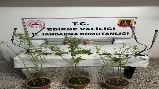 Edirne’de uyuşturucu ve kaçakçılık operasyonları; 3 gözaltı