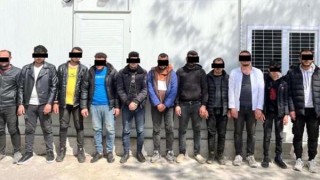Kırklareli’de 517 göçmen yakalandı, 3 organizatör tutuklandı