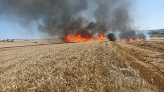 Edirne’de 30 dönüm buğday ekili alan yandı