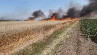 Keşan’da 90 dönüm buğday ekili alan yandı