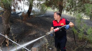 Edirne’de sanayi sitesindeki ağaçlık bölgede yangın