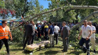 Kırkpınar’ın yapıldığı Sarayiçi’nde ağaç devrildi: 2 yaralı