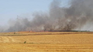 Malkara’da 40 dönüm buğday ekili tarla yandı