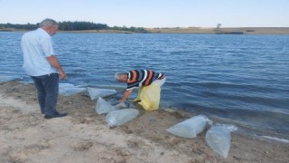 Edirne’de üretilen 5,5 milyon sazan yavrusu göllere salındı