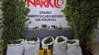 Kırklareli’nde bir çiftlikte 103 kilo esrar ele geçirildi