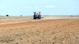 Birinci sınıf tarım arazisine plastik OSB kurulmasına mahkeme izin vermedi