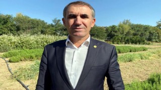 Trakya Birlik Başkanı Kırbiç: Kuraklık ayçiçeğinde verimi düşürdü
