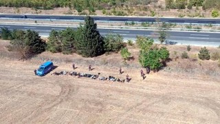 Kırklareli’de 890 göçmen yakalandı, 6 organizatör tutuklandı