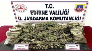 Evinde 8 kilo esrar bulunan şüpheli tutuklandı