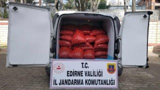 Edirne’de 1 ton kaçak kum midyesi ele geçirildi