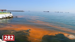Marmara Denizi'nde plankton çoğalması