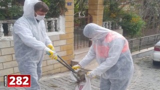 Süleymanpaşa Belediyesi çam kese böceği mücadelesine başladı