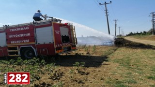 Malkara'da saman ve anız yangını