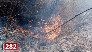 Malkara'da ormanlık alanda çıkan yangın söndürüldü