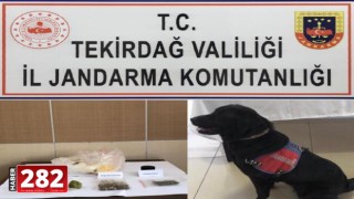 Tekirdağ'da uyuşturucu operasyonunda 1 kişi tutuklandı