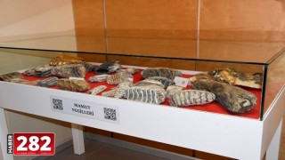 Tekirdağ’da 28 bin yıllık mamut fosilleri sergilendi (2)