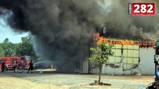 Marmaraereğlisi ‘ndeki Mithat SOYLU ‘ya ait depoda 10 bin balya saman yandı