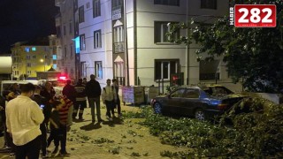 Çorlu'da ağaç park halindeki otomobilin üzerine devrildi
