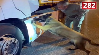 TIR'daki 5,5 kilo uyuşturucuyu 'Viva' buldu