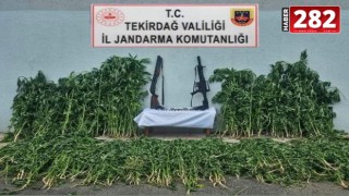 Tekirdağ'da uyuşturucu operasyonunda 3 gözaltı